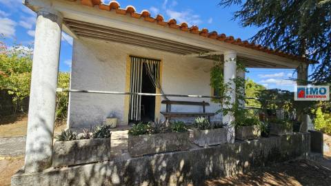 Quinta em Alvarcões  - Castelo Branco