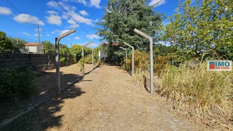 Quinta em Alvarcões  - Castelo Branco