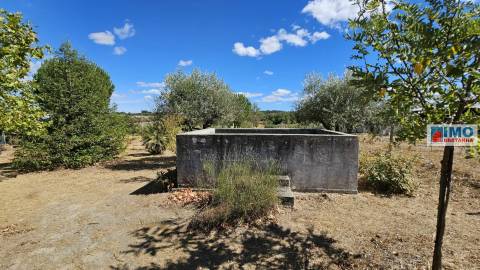 Quinta em Alvarcões  - Castelo Branco