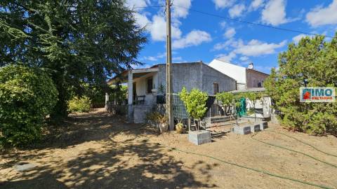 Quinta em Alvarcões  - Castelo Branco