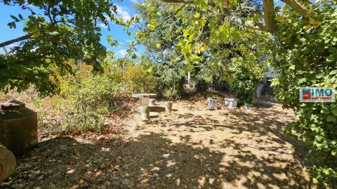 Quinta em Alvarcões  - Castelo Branco