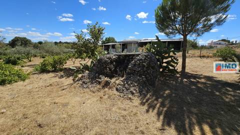 Quinta em Alvarcões  - Castelo Branco