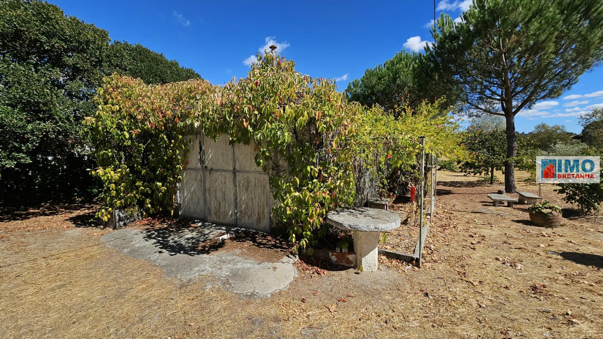 Quinta no Lirião- Castelo Branco