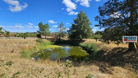 Quinta em Alvarcões  - Castelo Branco