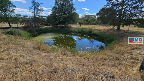 Quinta em Alvarcões  - Castelo Branco