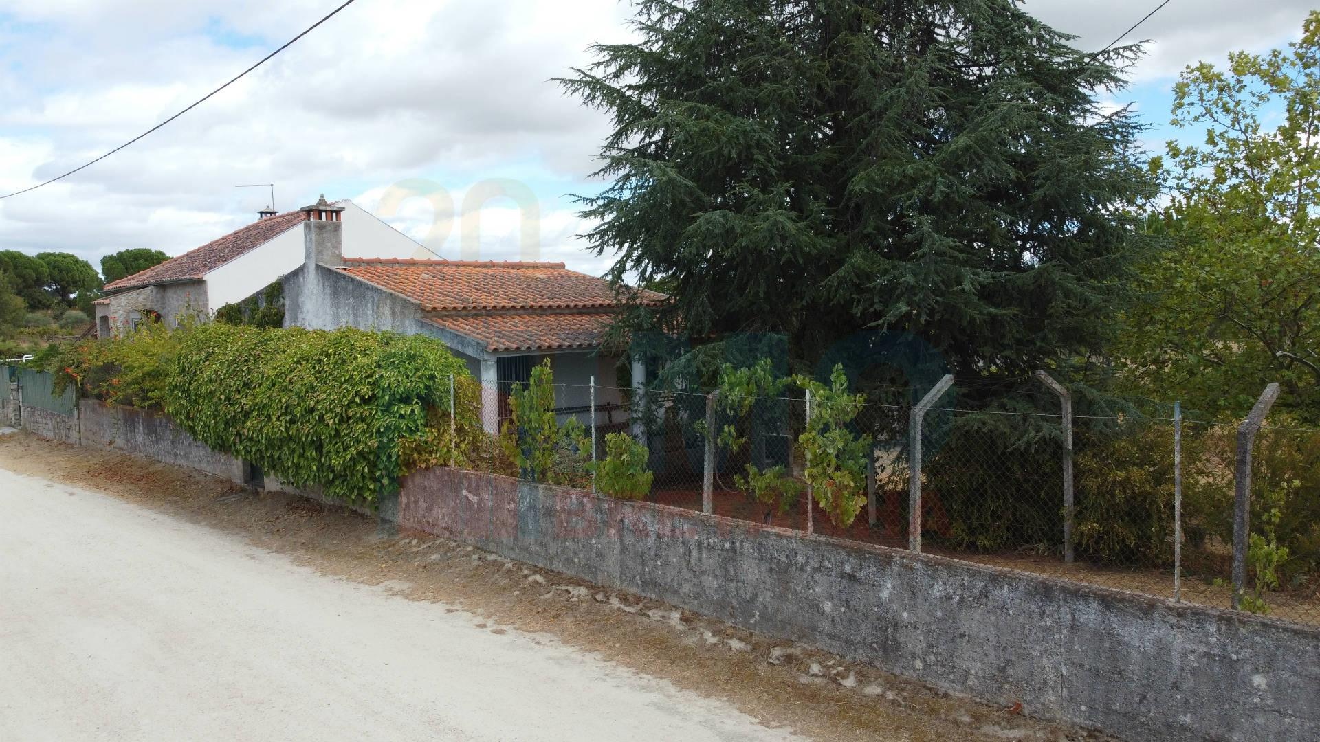 Quinta em Alvarcões  - Castelo Branco