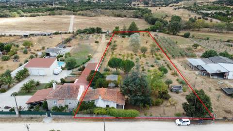 Quinta em Alvarcões  - Castelo Branco