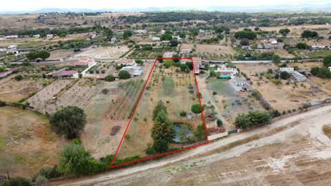 Quinta em Alvarcões  - Castelo Branco