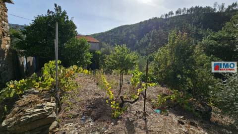 Moradia V2 com bastante terreno para renovar em Vilar Barroco, Malhadancha