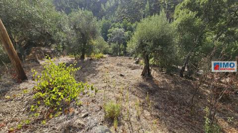 Moradia V2 com bastante terreno para renovar em Vilar Barroco, Malhadancha