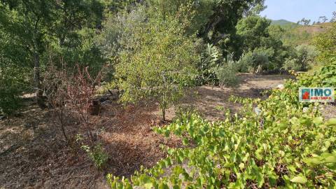 Moradia V2 com bastante terreno para renovar em Vilar Barroco, Malhadancha