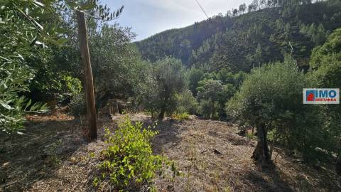 Moradia V2 com bastante terreno para renovar em Vilar Barroco, Malhadancha