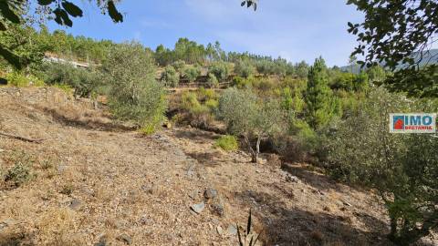 Moradia V2 com bastante terreno para renovar em Vilar Barroco, Malhadancha