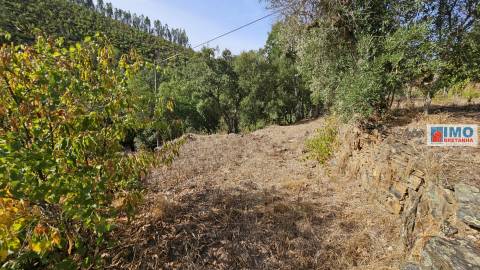 Moradia V2 com bastante terreno para renovar em Vilar Barroco, Malhadancha