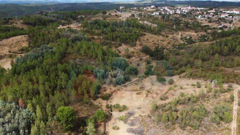 Terreno em Taberna Seca