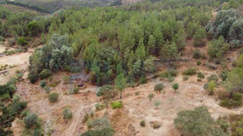 Terreno em Taberna Seca