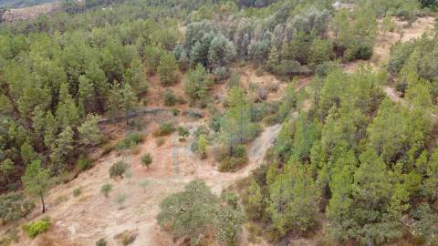 Terreno em Taberna Seca