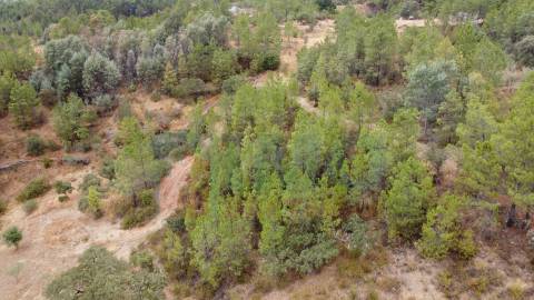 Terreno em Taberna Seca