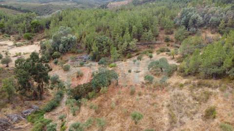 Terreno em Taberna Seca