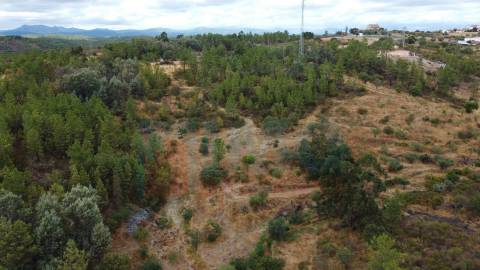 Terreno em Taberna Seca