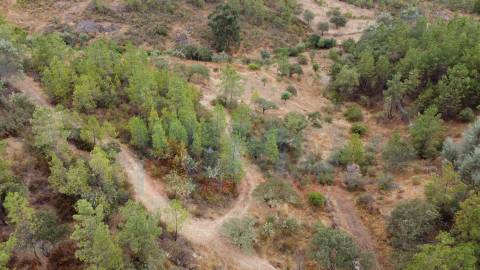 Terreno em Taberna Seca
