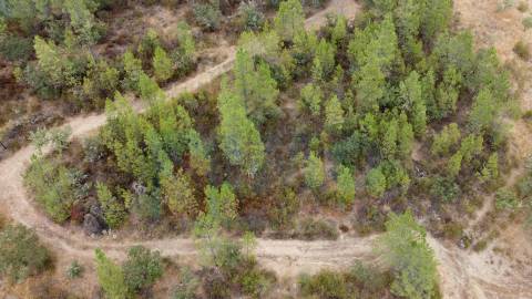Terreno em Taberna Seca