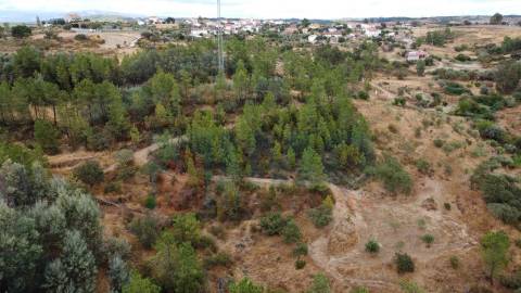 Terreno em Taberna Seca