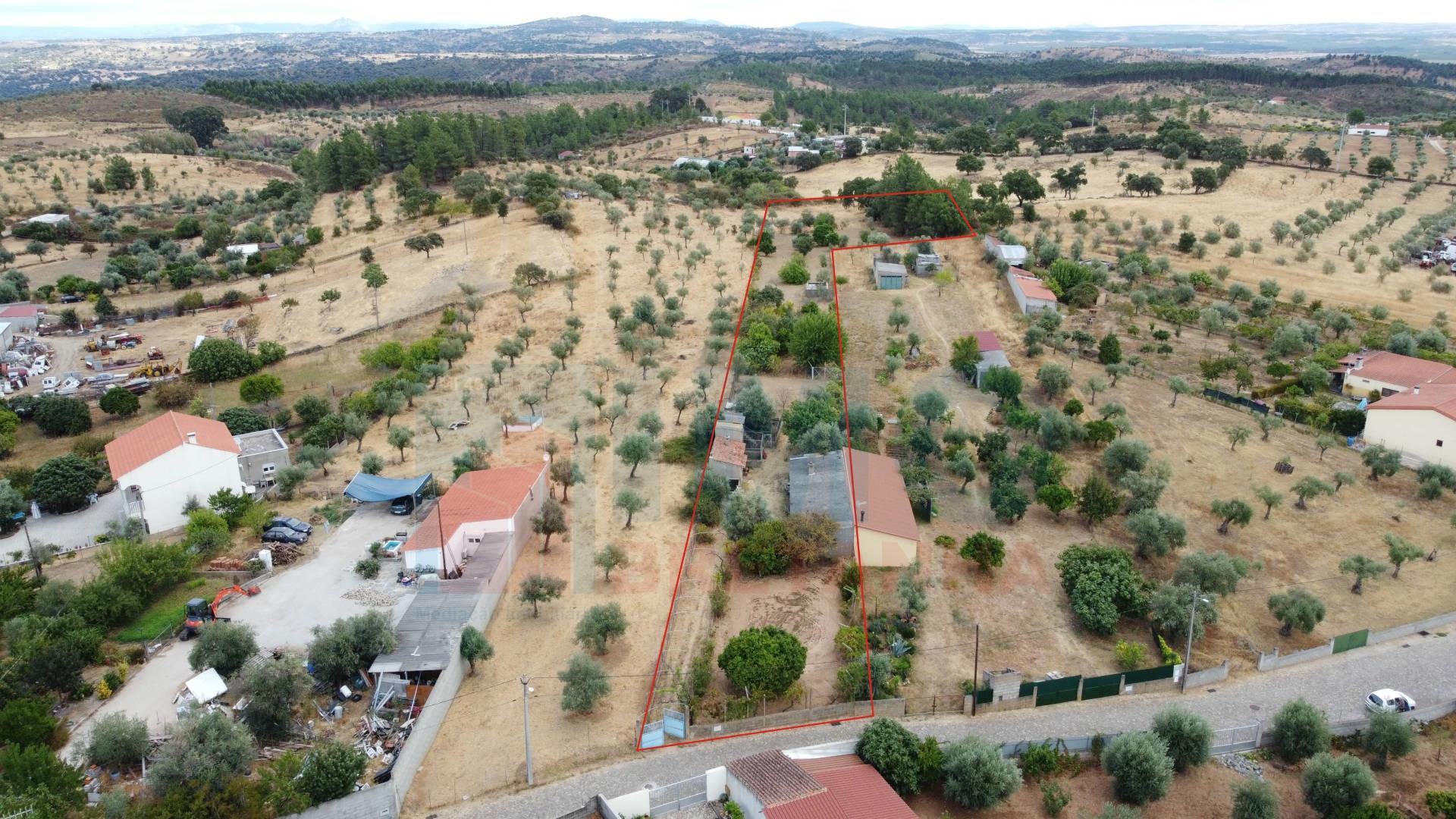 Quinta em Mata - Castelo Branco