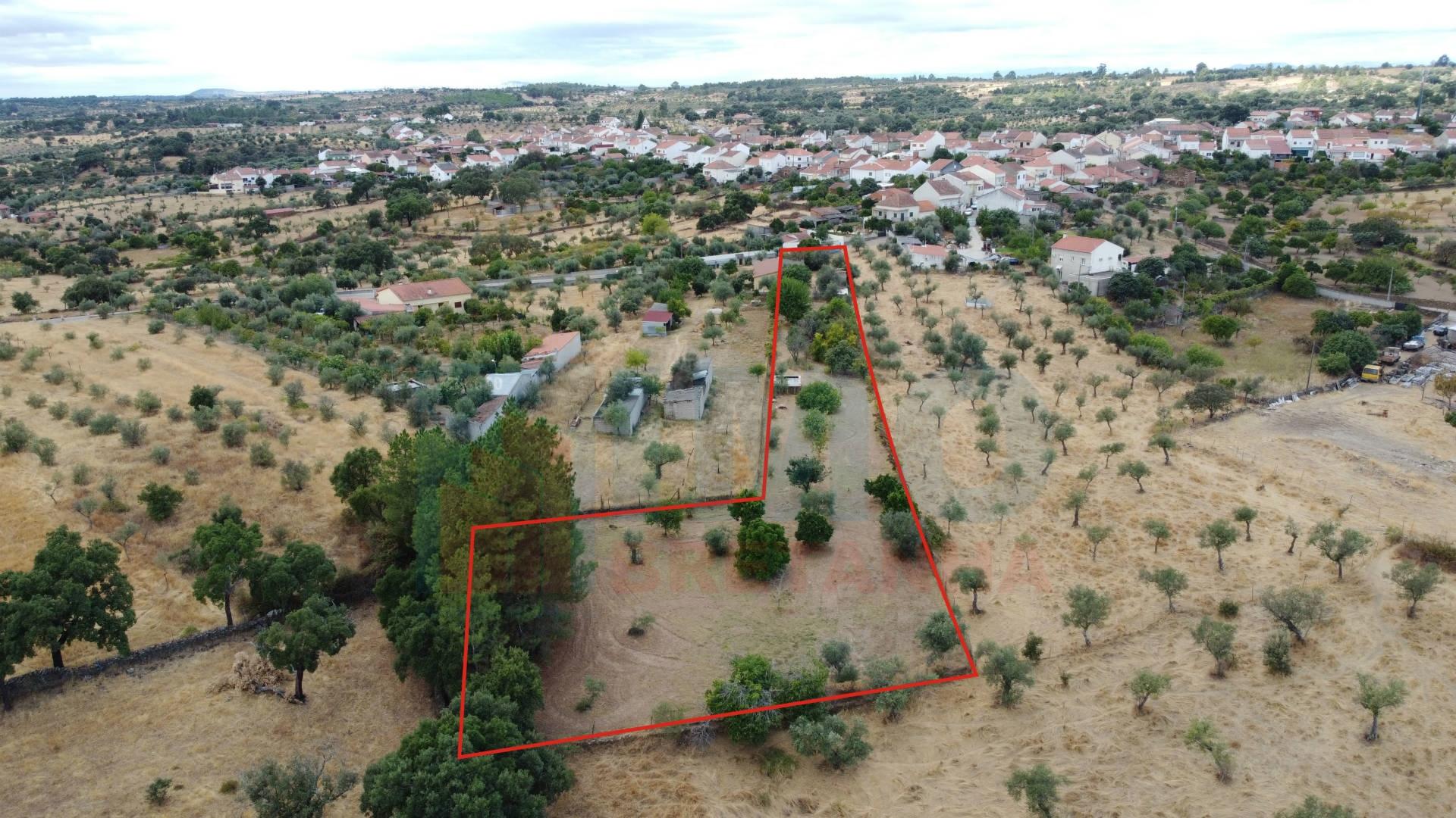 Quinta em Mata - Castelo Branco