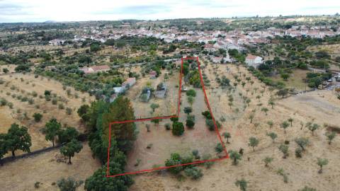 Quinta em Mata - Castelo Branco