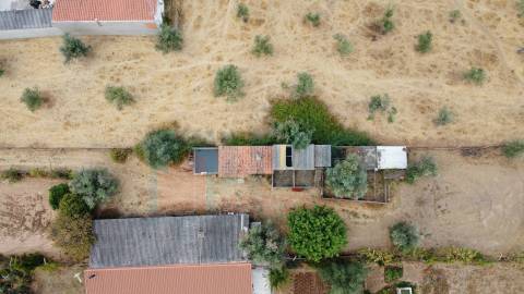 Quinta em Mata - Castelo Branco