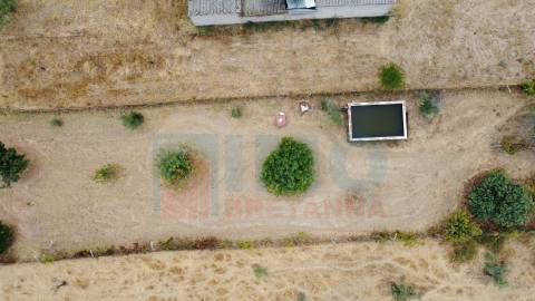 Quinta em Mata - Castelo Branco