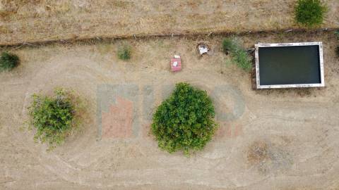 Quinta em Mata - Castelo Branco