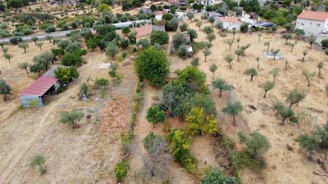 Quinta em Mata - Castelo Branco