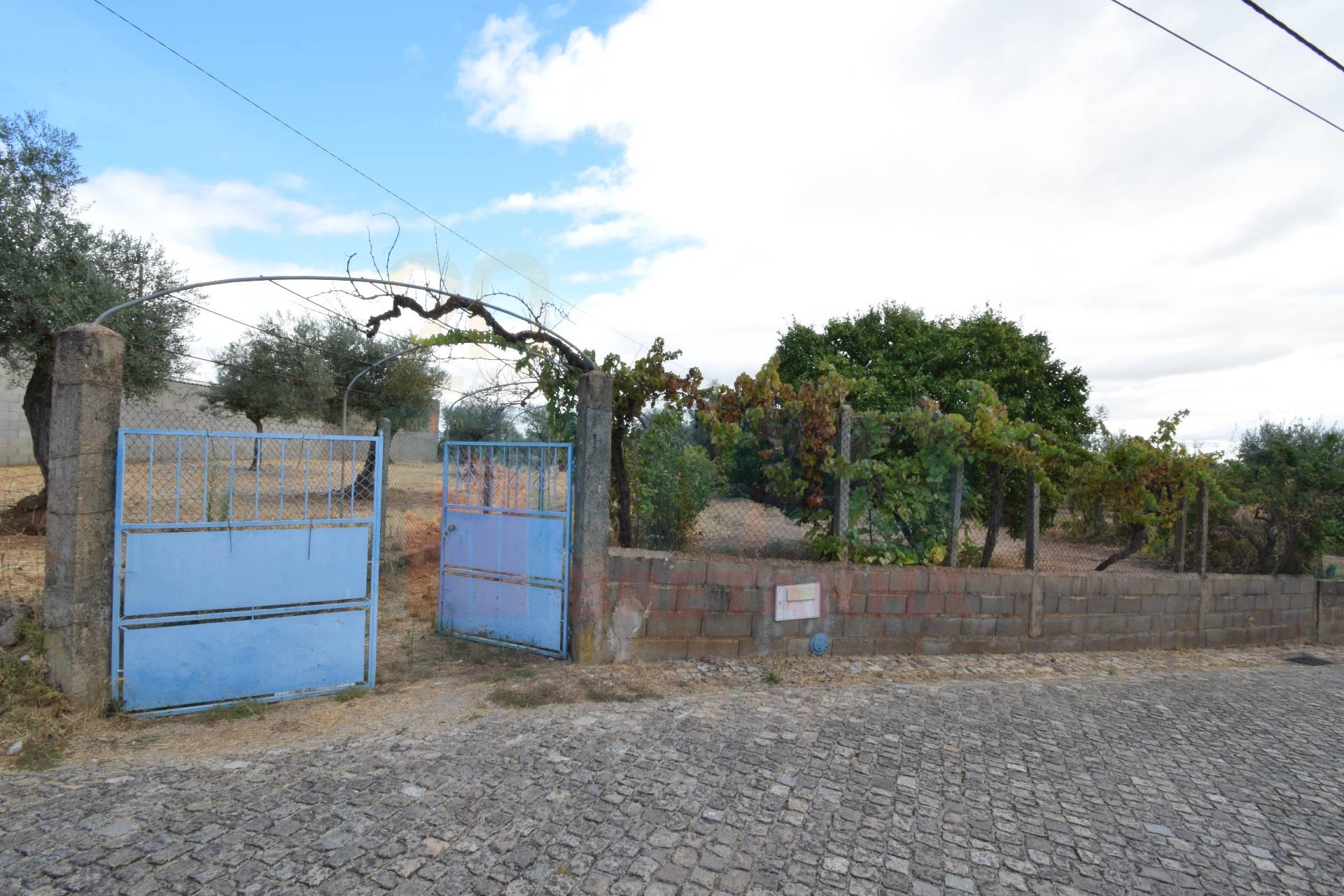 Quinta em Mata - Castelo Branco