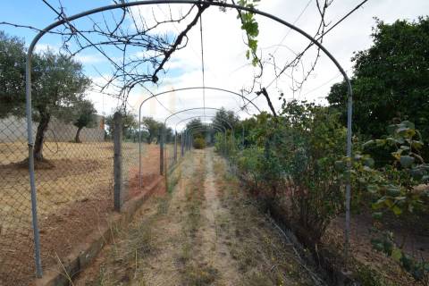 Quinta em Mata - Castelo Branco