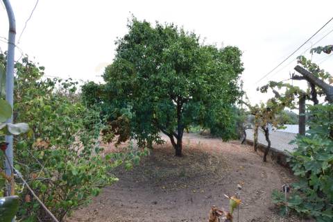 Quinta em Mata - Castelo Branco
