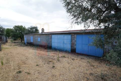 Quinta em Mata - Castelo Branco