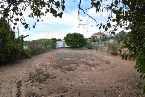 Quinta em Mata - Castelo Branco