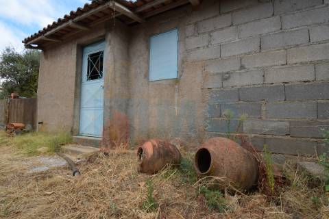 Quinta em Mata - Castelo Branco