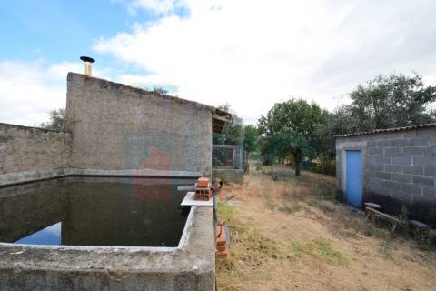 Quinta em Mata - Castelo Branco