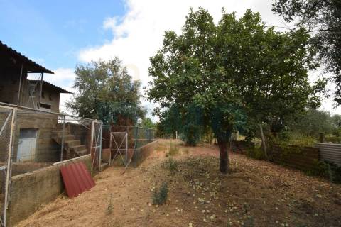 Quinta em Mata - Castelo Branco