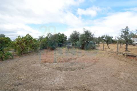 Quinta em Mata - Castelo Branco