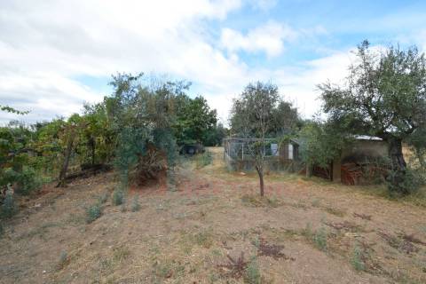 Quinta em Mata - Castelo Branco