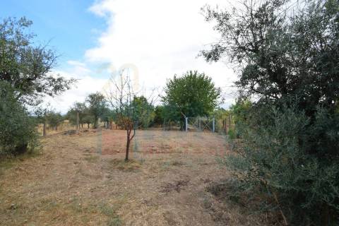 Quinta em Mata - Castelo Branco