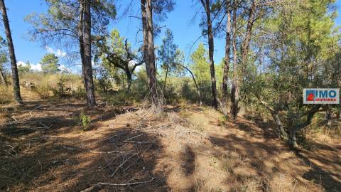 Quinta em Salgueiro do Campo