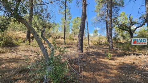 Quinta em Salgueiro do Campo