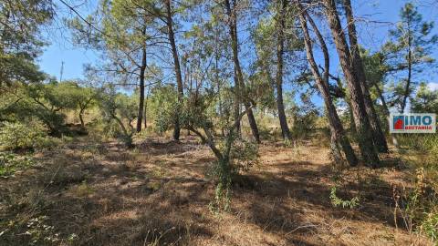 Quinta em Salgueiro do Campo