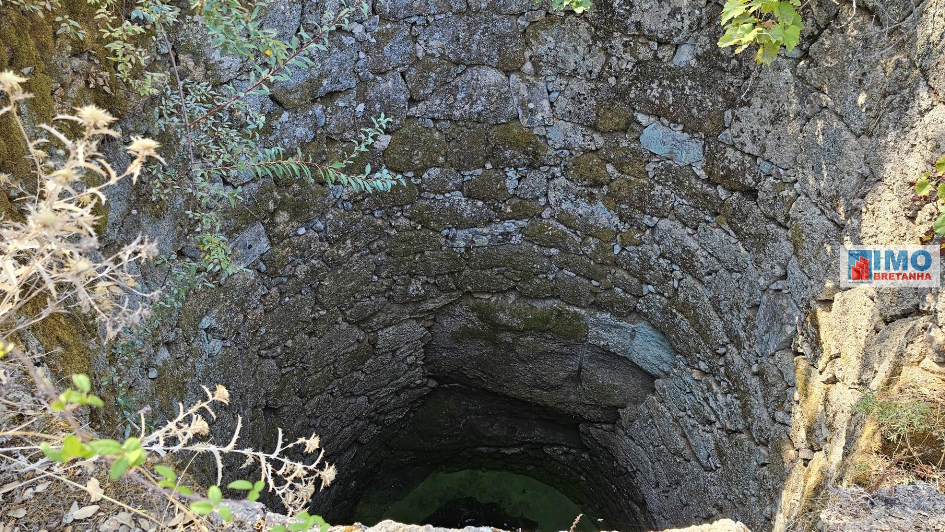 Quinta em Salgueiro do Campo