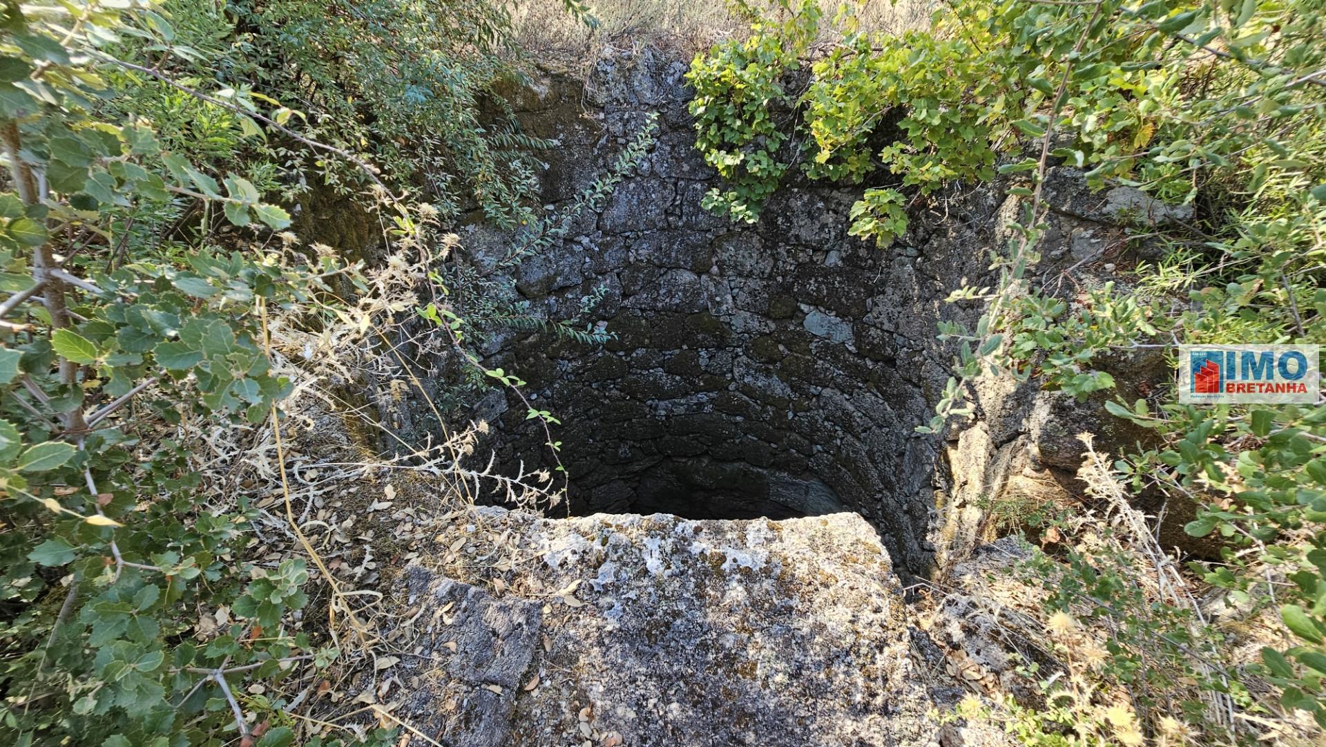 Quinta em Salgueiro do Campo